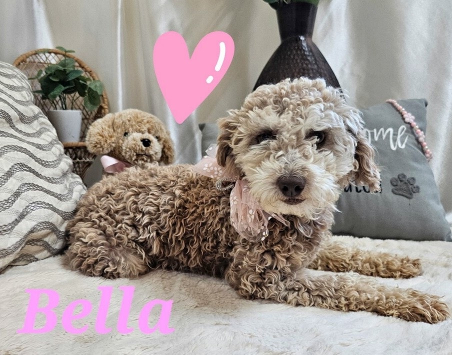 Bella (Mom)