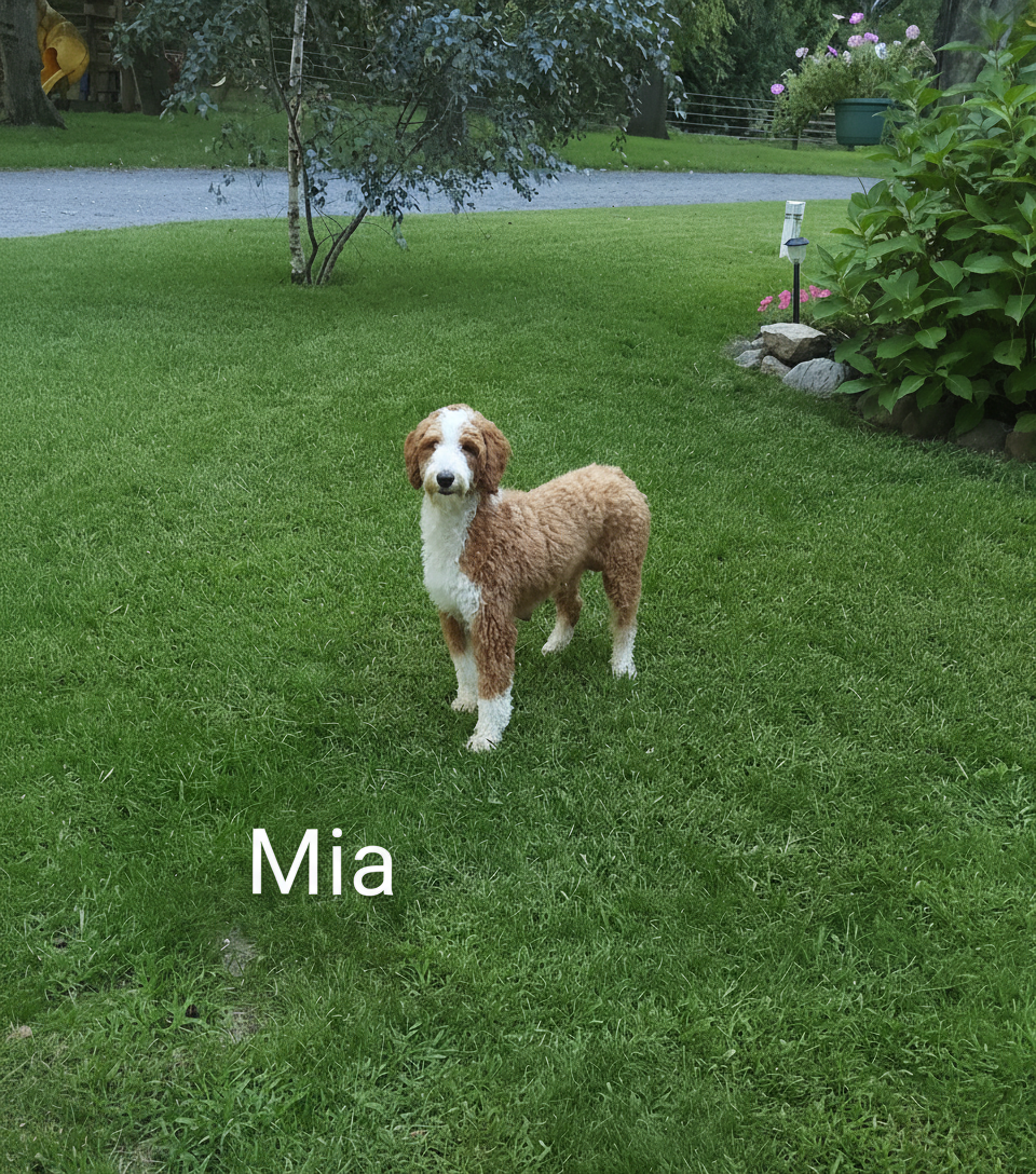 Mia (Mom)